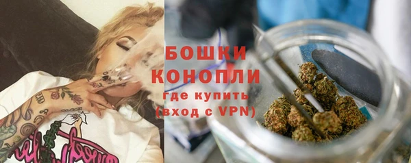 винт Нея