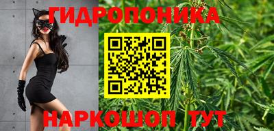 MDMA Гай