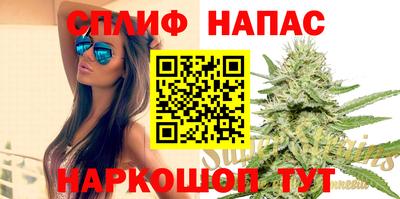 spice Гатчина