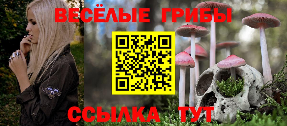 Галлюциногенные грибы Magic Shrooms Канаш