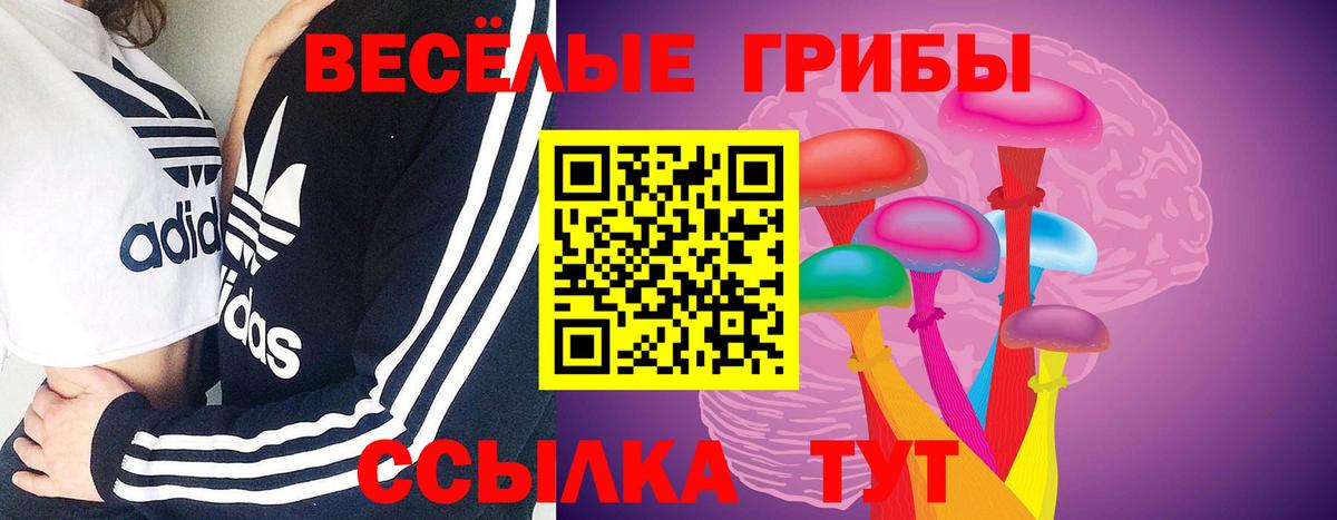 Псилоцибиновые грибы мухоморы  продажа наркотиков  Псилоцибиновые грибы мицелий  Канаш  Вход с VPN 