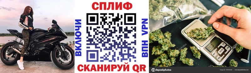 Марихуана семена  продажа наркотиков  shop состав  Канаш 